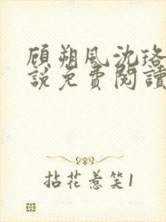 顾朔风沈珞舒小说免费阅读最新章节