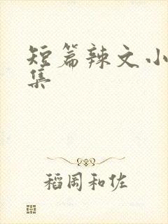 短篇辣文小说合集