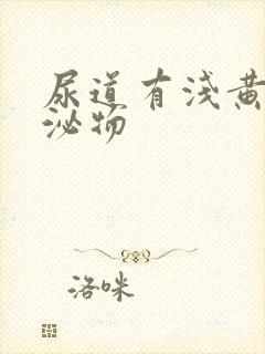 尿道有浅黄色分泌物