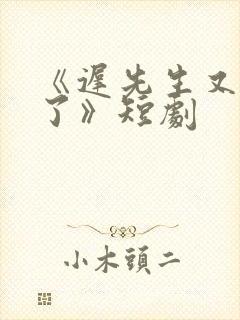 《迟先生又心动了》短剧