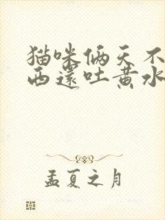 猫咪俩天不吃东西还吐黄水