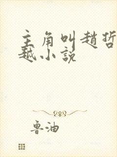 主角叫赵哲的穿越小说