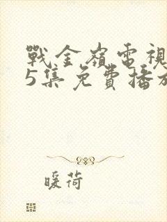 战金岭电视剧45集免费播放