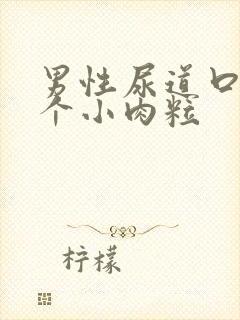 男性尿道口长两个小肉粒