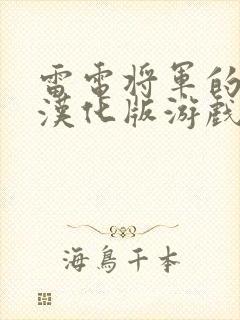 雷电将军的惩罚汉化版游戏