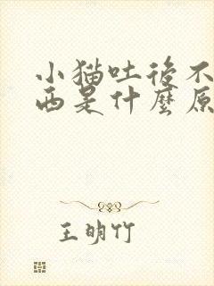 小猫吐后不吃东西是什么原因