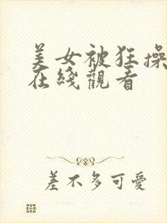 美女被狂操视频在线观看