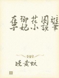 在御花园进入太子妃小说笔趣阁封面