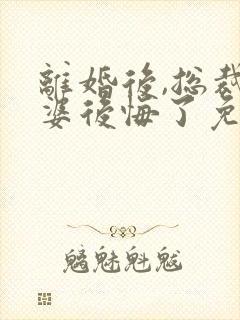 离婚后,总裁老婆后悔了免费完整版