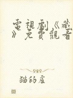 电视剧《藏海传》免费观看