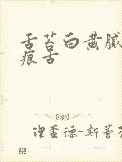 舌苔白黄腻有齿痕舌