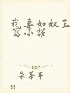 我妻如奴王琳续写小说