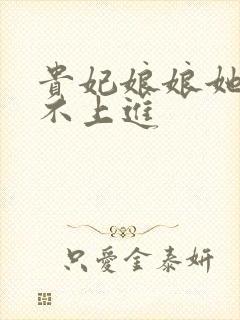 贵妃娘娘她总是不上进