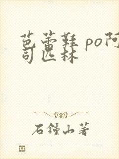 芭蕾鞋 po阿司匹林