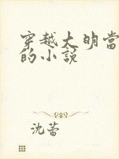 穿越大明当崇祯的小说封面