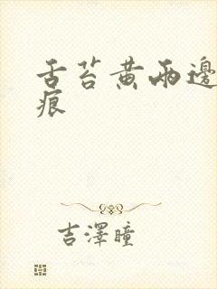 舌苔黄两边有齿痕