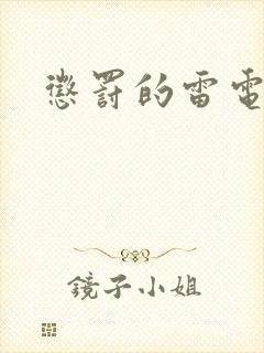 惩罚的雷电将军