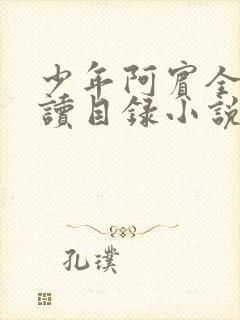 少年阿宾全文阅读目录小说大全