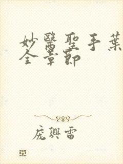 妙医圣手叶皓轩全章节