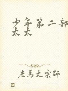 少年第二部房东太太封面