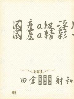 国产a级淫片一国产a精彩一国产a精品v一