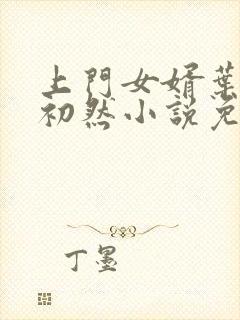 上门女婿叶辰萧初然小说免费