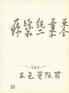 在线观看单挑荒野第二季全集封面