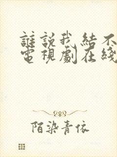 谁说我结不了婚电视剧在线观看