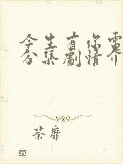 今生有你电视剧分集剧情介绍13集