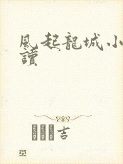 风起龙城小说阅读