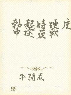 勃起时硬度不够中途疲软封面