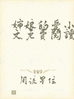 婶娘的爱小说全文免费阅读封面