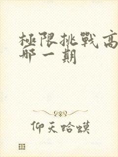 极限挑战高以翔哪一期