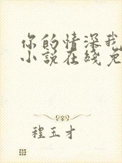 你的情深我不配小说在线免费阅读封面