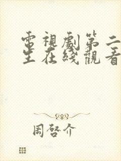 电视剧第二次人生在线观看封面