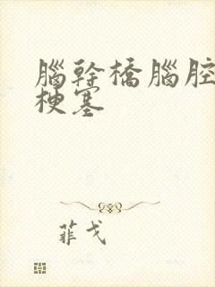 脑干桥脑腔隙性梗塞