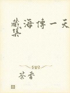 藏海传一天更几集