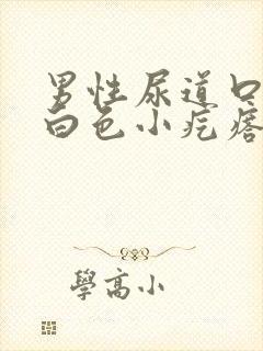 男性尿道口上长白色小疙瘩