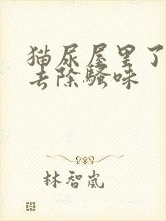 猫尿屋里了怎么去除骚味