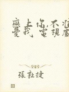 恋上你,不准不爱我 电视剧