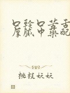 口干口苦舌苔黄厚腻中药配方