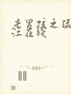 老男孩之猛龙过江在线