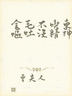 金毛不吃东西还呕吐没精神怎么办