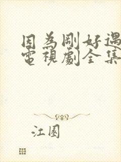 因为刚好遇见你电视剧全集免费观看