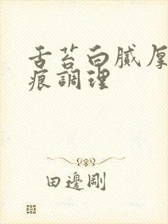 舌苔白腻厚有齿痕调理