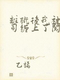 离职后我被前上司缠上了阅读全文全文