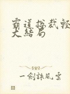 霸道总裁轻轻爱大结局封面