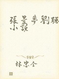 张晨梦刘聪赵兰小说