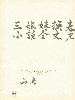 三姐妹换夫珍珍小说全文免费阅读