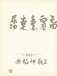 尿出来白色浑浊物是怎么回事